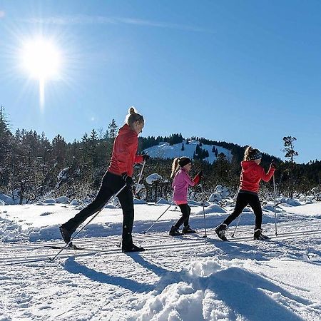 Ferienhaus Sinz Schwarzenberg im Bregenzerwald Eksteriør billede
